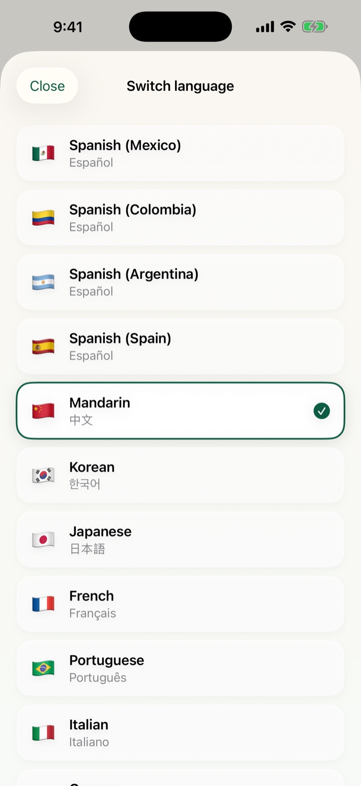 The language switcher showing all nine supported languages.